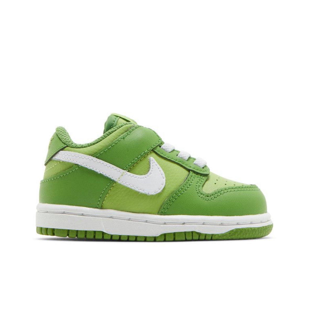 BRAND NEW NIKE DUNK LOW PS “CHLOROPHYLL”
