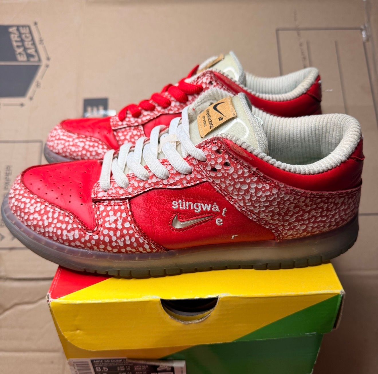 WORN NIKE SB "STINGWATER" - Used/Worn