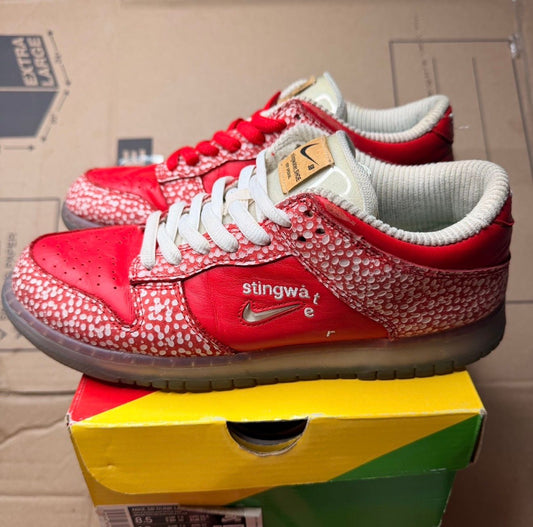 WORN NIKE SB "STINGWATER" - Used/Worn
