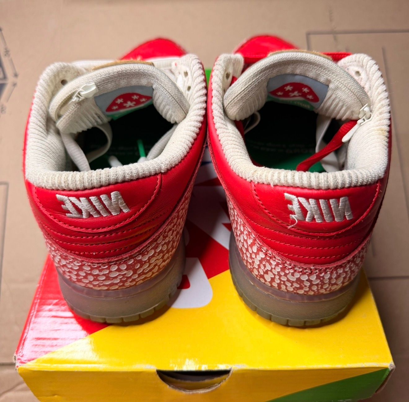 WORN NIKE SB "STINGWATER" - Used/Worn