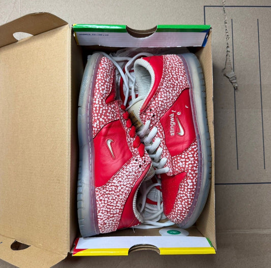 WORN NIKE SB "STINGWATER" - Used/Worn
