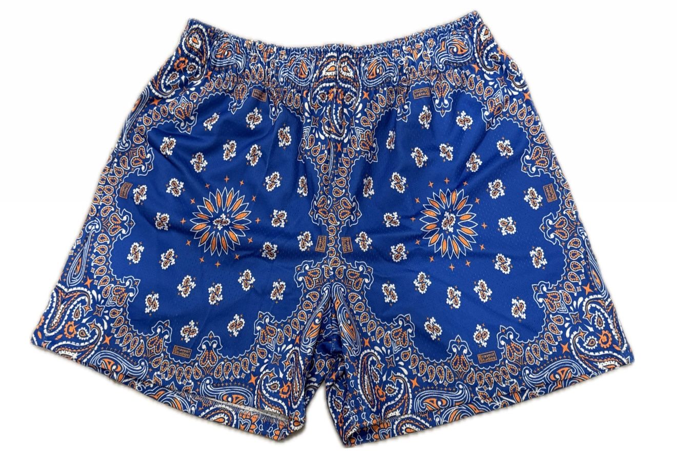 Bravest Studios Blue Paisley Shorts