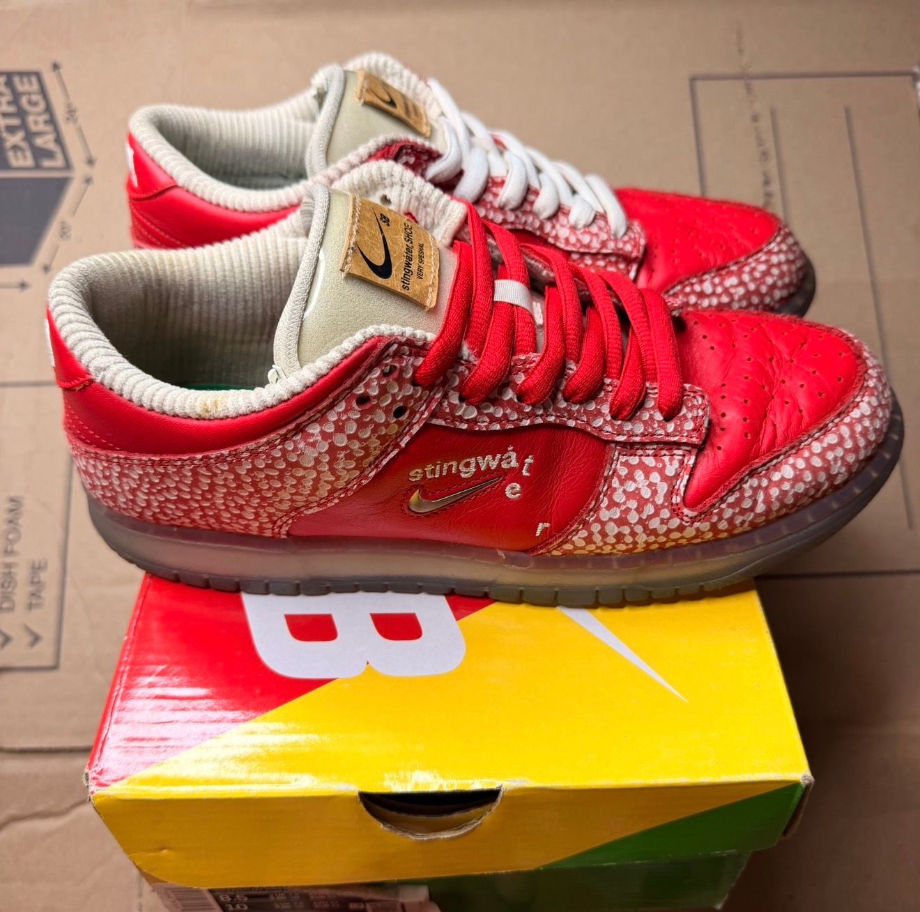 WORN NIKE SB "STINGWATER" - Used/Worn
