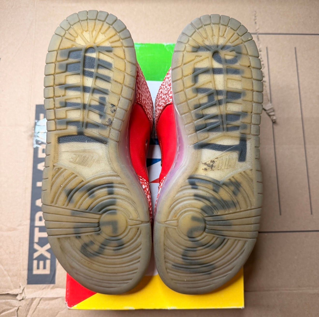 WORN NIKE SB "STINGWATER" - Used/Worn