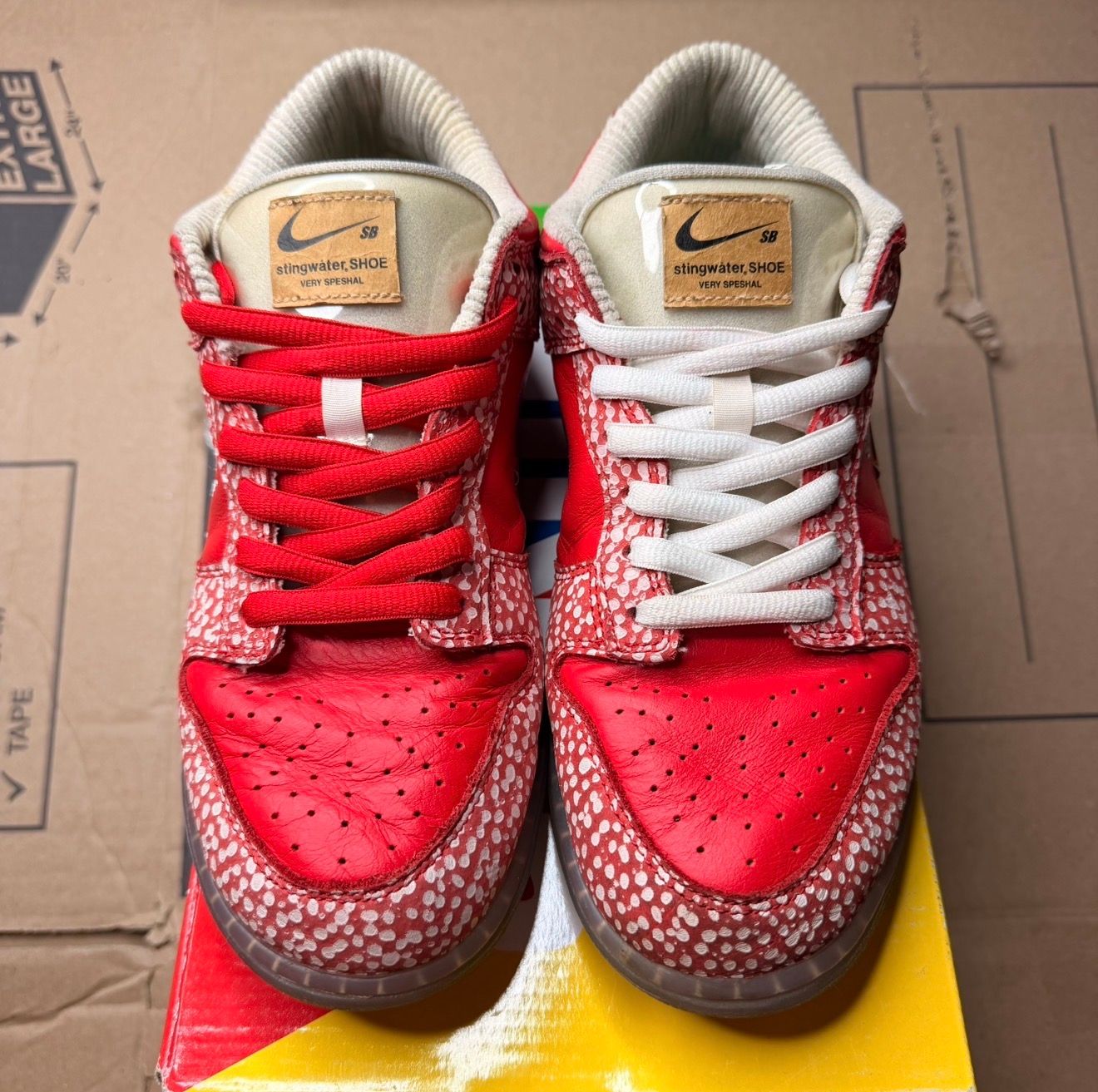 WORN NIKE SB "STINGWATER" - Used/Worn