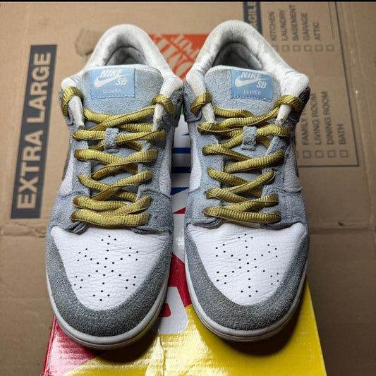 WORN NIKE SB "SEAN CLIVER" - Used/Worn